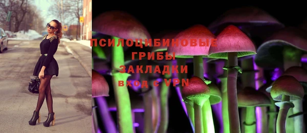 mix Инта