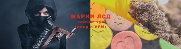гашик Каменногорск