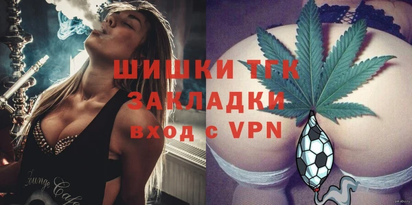 mix Инта