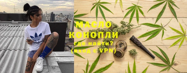 mix Инта